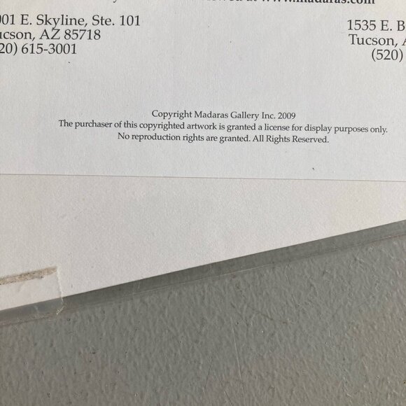 Diana Madaras Poppy Desert Flowers Art Acrylic Print COA Unframed Matted Signed - Picture 7 of 15